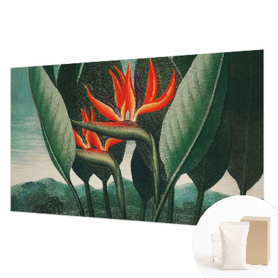 Flizelininis fototapetas Egzotinis žiedas