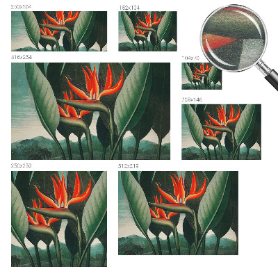 Flizelininis fototapetas Egzotinis žiedas