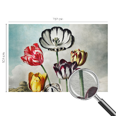 Fototapetas Farverige tulpmedis