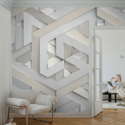 Sienų danga fototapetas Iliustruotasis buvęs