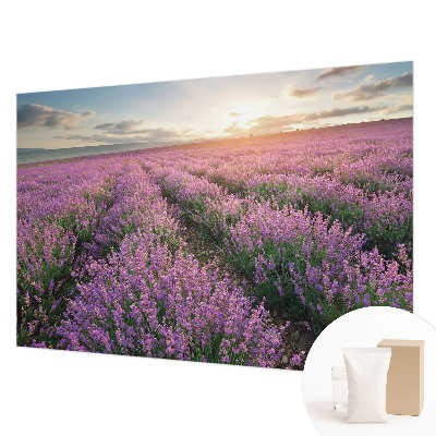 Tapetas Levandų žymeklis