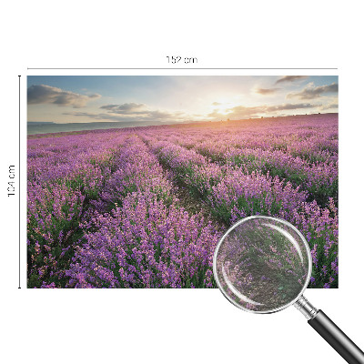 Tapetas Levandų žymeklis