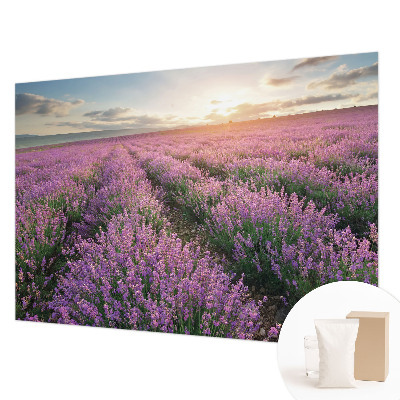 Tapetas Levandų žymeklis