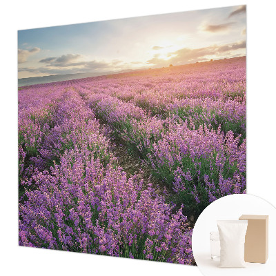 Tapetas Levandų žymeklis