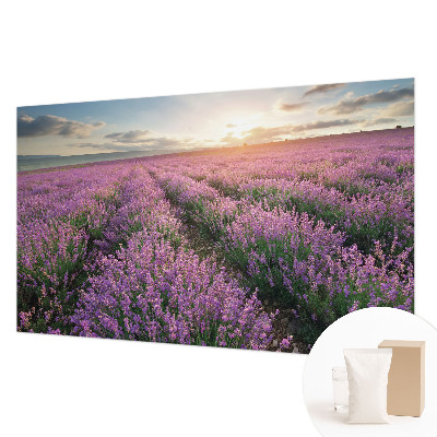 Tapetas Levandų žymeklis