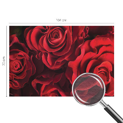 Flizelininis fototapetas su raudonais rožiniais žiedais