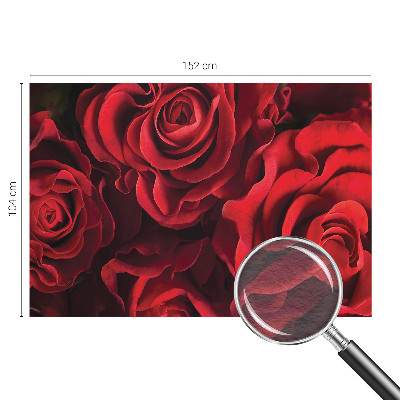 Flizelininis fototapetas su raudonais rožiniais žiedais