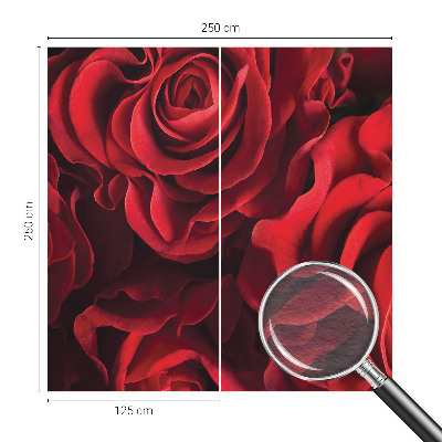 Flizelininis fototapetas su raudonais rožiniais žiedais