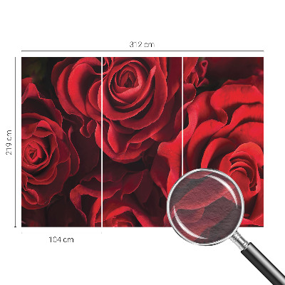 Flizelininis fototapetas su raudonais rožiniais žiedais