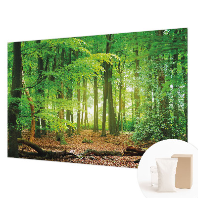 Fototapetas flizelino pagrindu Žalioji skova