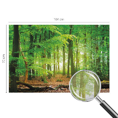 Fototapetas flizelino pagrindu Žalioji skova