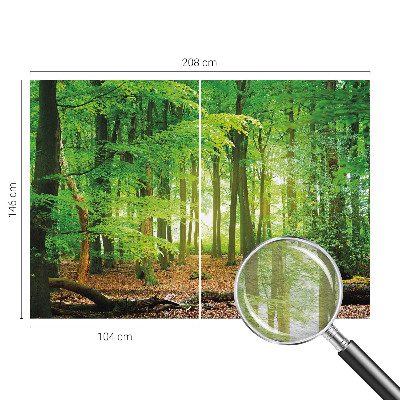 Fototapetas flizelino pagrindu Žalioji skova