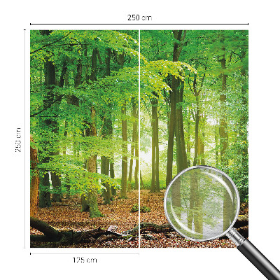 Fototapetas flizelino pagrindu Žalioji skova