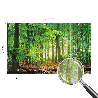 Fototapetas flizelino pagrindu Žalioji skova