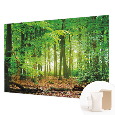 Fototapetas flizelino pagrindu Žalioji skova