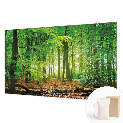 Fototapetas flizelino pagrindu Žalioji skova