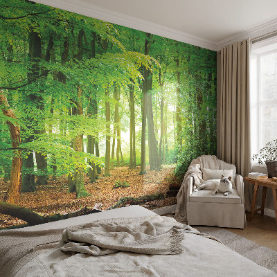 Fototapetas flizelino pagrindu Žalioji skova