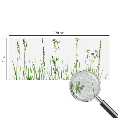 Fototapetas ant sienos su subtiliu floros motyvu