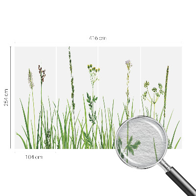 Fototapetas ant sienos su subtiliu floros motyvu