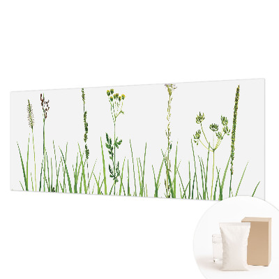 Fototapetas ant sienos Subtili flora