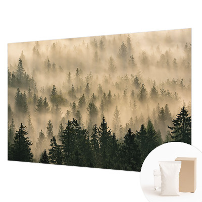 Fototapetas miegamajam Skovtåge