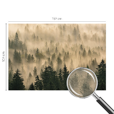 Fototapetas miegamajam su „Skovtåge“ motyvu