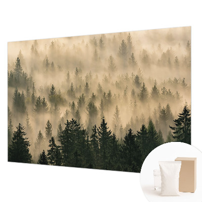 Fototapetas miegamajam Skovtåge