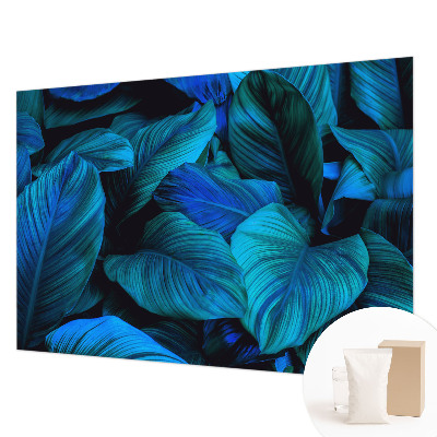 Fototapetas pagal užsakymą Mėlynas peilis