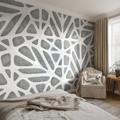 Aukštos kokybės fototapetas su geometriniu tinklu