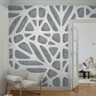 Aukštos kokybės fototapetas su geometriniu tinklu