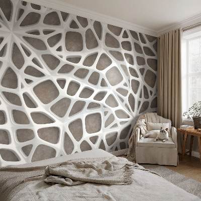 Fototapetas pagal matmenis su geometriniu tinklu