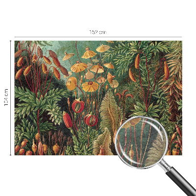 Aukštos kokybės fototapetas Eksotisk turi