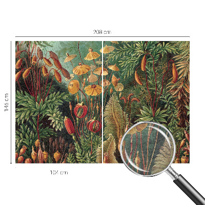 Aukštos kokybės fototapetas Eksotisk turi