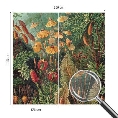 Aukštos kokybės fototapetas Eksotisk turi