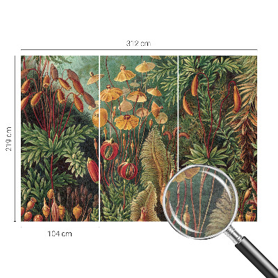 Aukštos kokybės fototapetas Eksotisk turi