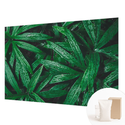 Aukštos kokybės fototapetas Natūralus žalias išblukimas