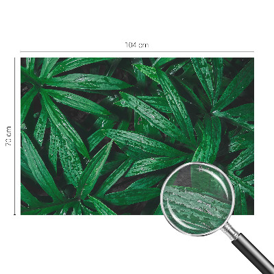 Aukštos kokybės fototapetas Natūralus žalias išblukimas