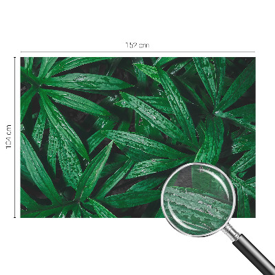 Aukštos kokybės fototapetas Natūralus žalias išblukimas