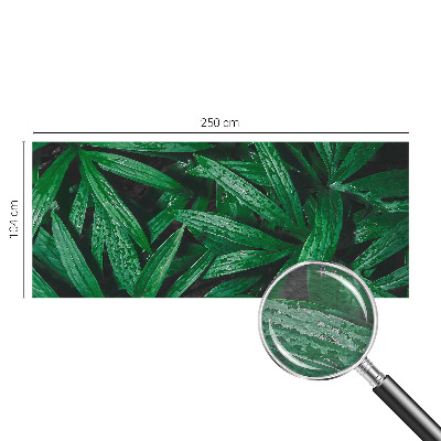 Aukštos kokybės fototapetas Natūralus žalias išblukimas