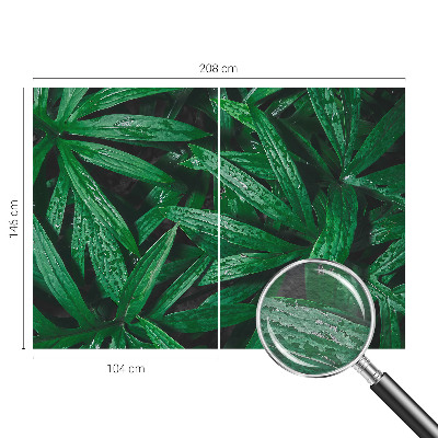 Aukštos kokybės fototapetas Natūralus žalias išblukimas