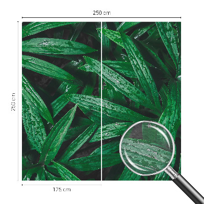 Aukštos kokybės fototapetas Natūralus žalias išblukimas