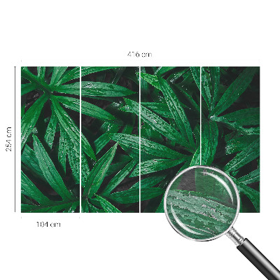 Aukštos kokybės fototapetas Natūralus žalias išblukimas