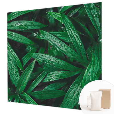 Aukštos kokybės fototapetas Natūralus žalias išblukimas