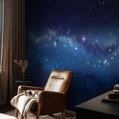 Flizelininis fototapetas Stjernenat