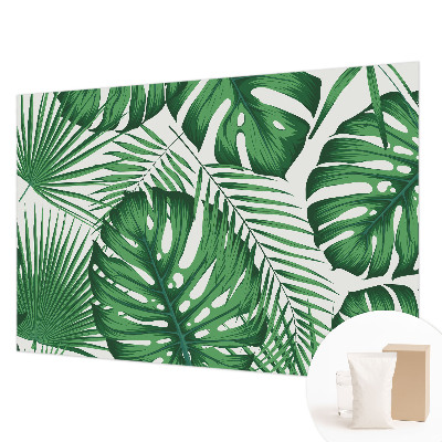 Fototapetas pagal matmenis Tropikų blyškumas