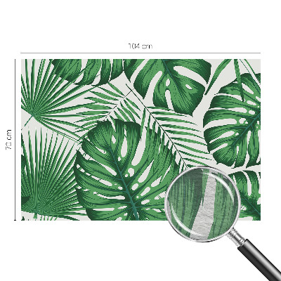 Fototapetas pagal matmenis Tropikų blyškumas