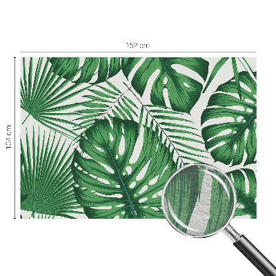 Fototapetas pagal matmenis Tropikų blyškumas