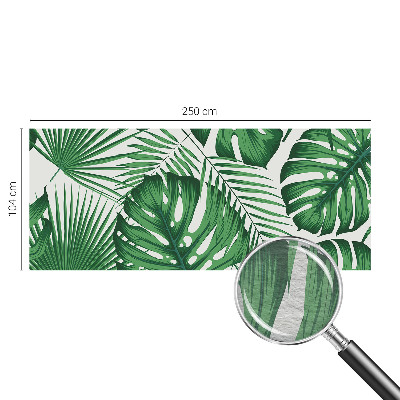 Fototapetas pagal matmenis Tropikų blyškumas