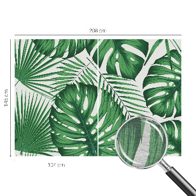 Fototapetas pagal matmenis Tropikų blyškumas