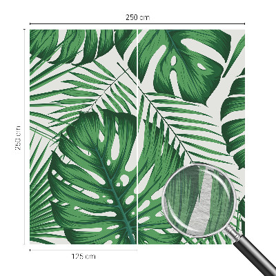 Fototapetas pagal matmenis Tropikų blyškumas